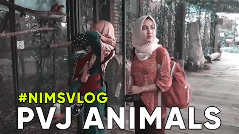 Nimsvlog Menjelajah Indahnya Beragam Satwa Di Paris Van Java Bandung