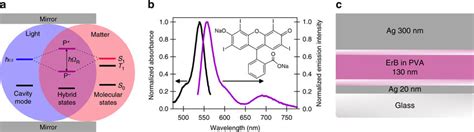 Molecular System For Realizing Strong Lightmatter Coupling A