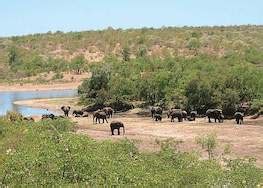 History Of Kruger National Park South Africa