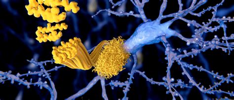 New Insights Into Amyloid Beta Structure Biotechniques