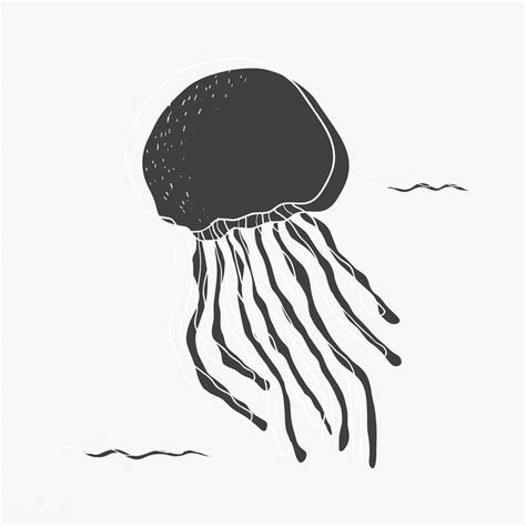 Black jellyfish illustration | Jellyfish illustration, Jellyfish ...