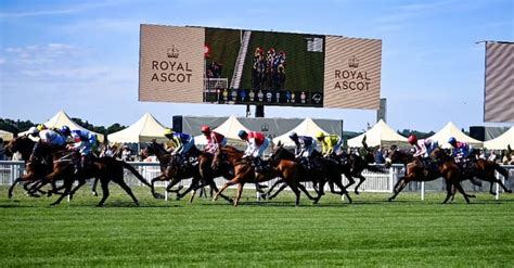 Best 2023 Royal Ascot Free Bets £160 Betting Offers