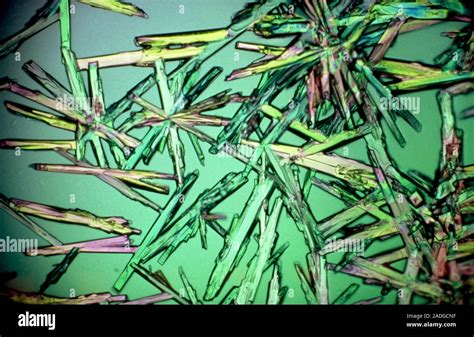 Glucose Polarised Light Micrograph Of Crystals Of Glucose Sugar