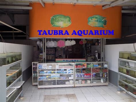 Toko Aquarium Terdekat Di Kota Bekasi Ulastempat