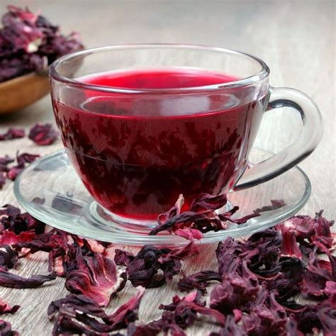 Infusión de hibisco un arma potente contra las infecciones