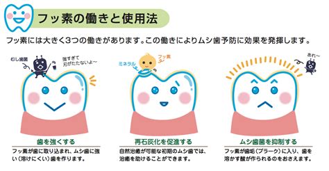 虫歯予防のフッ素塗布ってどんな効果があるの？ アーブル歯科クリニック