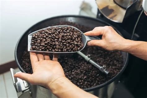 The Art Of Home Roasting A Beginner S Guide