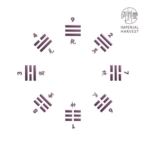 Fundamentals Of Xuan Kong Da Gua Date Selection 玄空大卦 Imperial Harvest