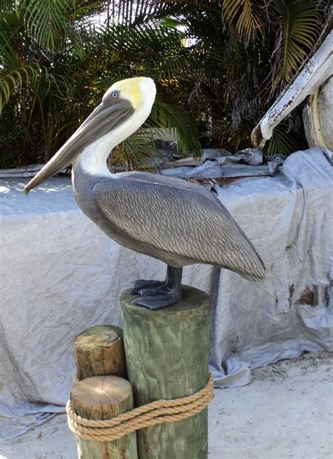 Life Size Pelican Sculptures Maker Marketplace