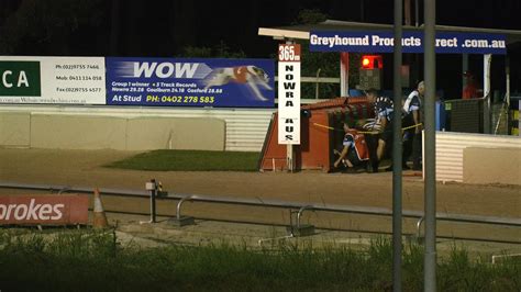 Thedogs Nowra 12 February 2024 Race 10