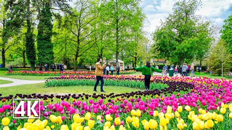 Most Beautiful Tulip Festival In Switzerland The Morges Tulip