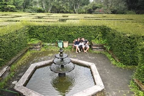 Perlu Dicoba Bermain Di Taman Labirin Coban Rondo Rasakan Sensasi Hawa