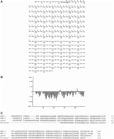 Nucleotide And Deduced Amino Acid Sequences Of Human Edf A The