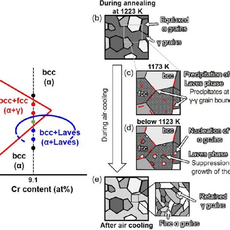 Schematic Drawings Of The Phase Diagram For Mn A And Microstructure