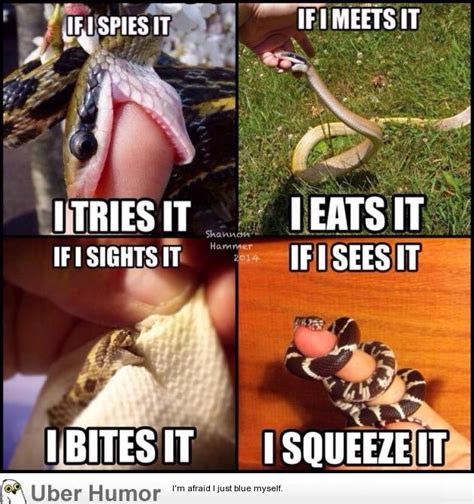 Snek | Funny Pictures, Quotes, Pics, Photos, Images. Videos of Really ...