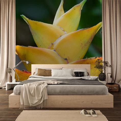 Awesome Rare Rainforest Flowers Wallpaper, Living Room Floral Wallpaper ...