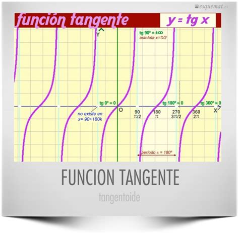 Función tangente Esquemat