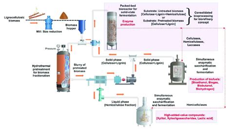 Schematic Representation Of A General Biorefinery Process For