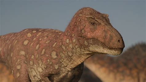 15 Tarbosaurus Facts Facts Net