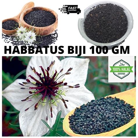 Habbatus Sauda Kapsul Nigalive 2 In 1 HALAL Original Minyak Habbatus