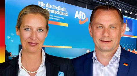 Glosse Eine Forderung Von Dummen Und B Sen In Der Brd Lautet Afd