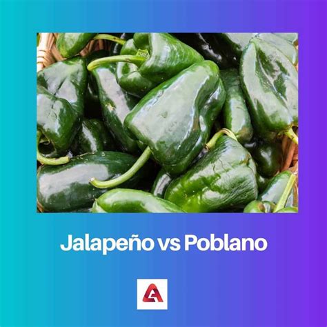 Jalapeño Vs Poblano Difference And Comparison