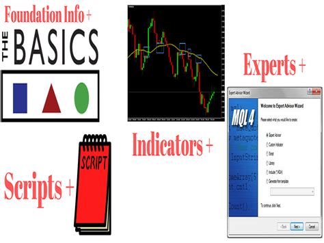 Full Mql4 Course Learnmql4 School