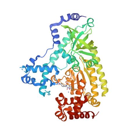 Rcsb Pdb 4pkt Anthrax Toxin Lethal Factor With Bound Small Molecule