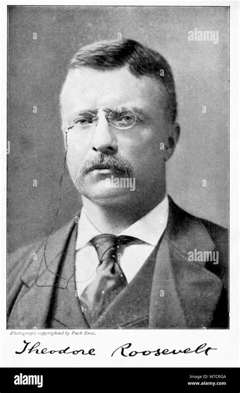 Theodore Teddy Roosevelt American President 1901 1909 Artist