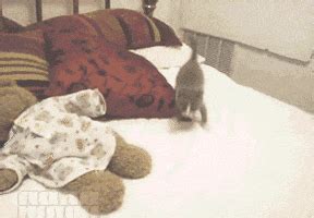 Jumping In Bed GIFs - Find & Share on GIPHY