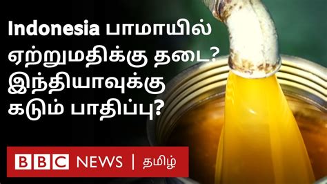 Indonesia Bans Palm Oil Export இந்தியாவுக்கு மிக மோசமான சிக்கல் விலை அதிகரிக்குமா India