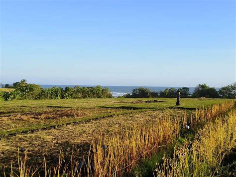 Tanah Zona Pariwisata View Laut Gunung Dan Sawah Terasering Di Bali