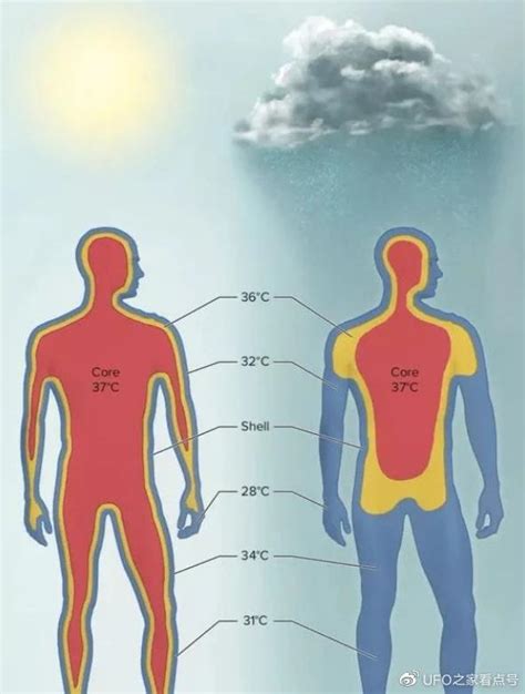 未来生物：ai觉醒，人类是硅基生命的生物启动程序吗？硅基生命碳基新浪新闻