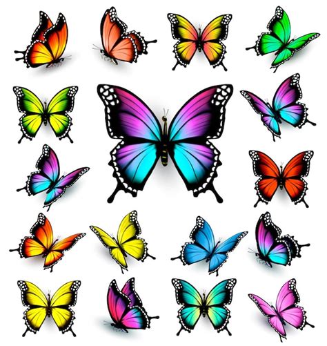 Conjunto De Mariposas De Colores Vector Vector Premium