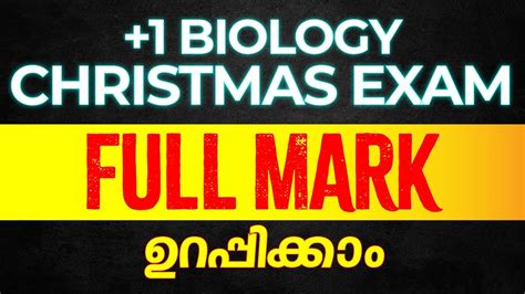 Plus One Biology Christmas Exam Full A ഇന പട വണട Best Study