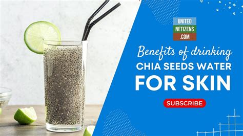 Benefits Of Drinking Chia Seeds Water For Skin By Unseolink Medium