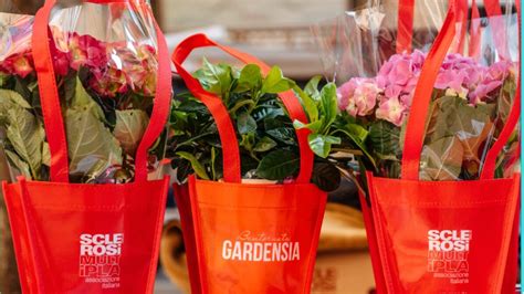 Sclerosi Multipla Gardenie E Ortensie In Piazza A Sostegno Della