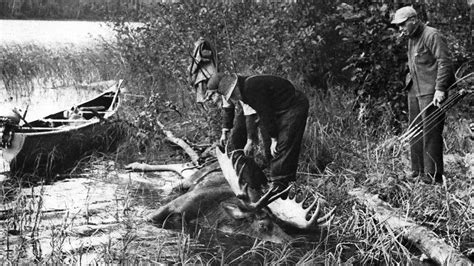 Fred Bears First Moose Hunt From The Archives Outdoor Life