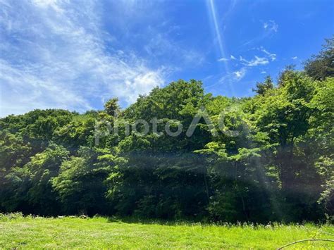 爽やかな新緑と青空の風景 No 26398116｜写真素材なら「写真ac」無料（フリー）ダウンロードok