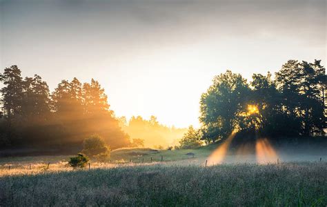 Summer Field With Sunrays Photograph By Christian Lindsten Fine Art