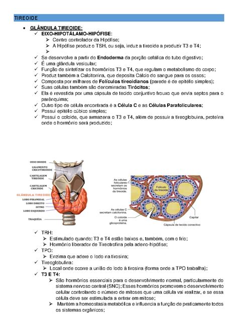 O Que é Tonus Muscular 3