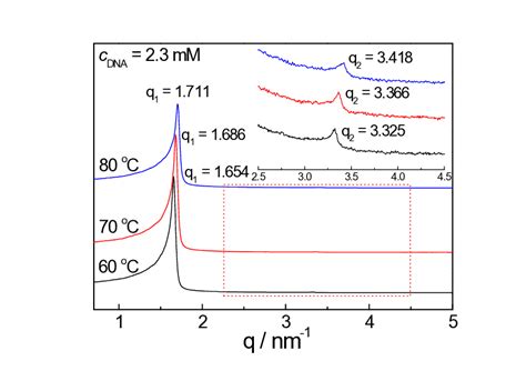 Fig S15 Representative SAXS Pattern Of DNA DPL Complex With C DNA