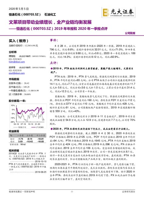 2019年年报和2020年一季报点评：文莱项目带动业绩增长，全产业链均衡发展