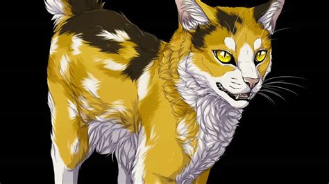 Top Ten Most Beautiful Warrior Cat She Cats With Blue Eyes Theme Loader