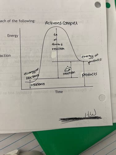 Rates And Equilibrium Flashcards Quizlet