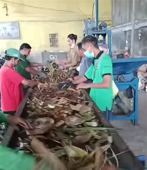 Tanggulangi Sampah Pasca Hari Raya Ini Langkah Pemkot Denpasar