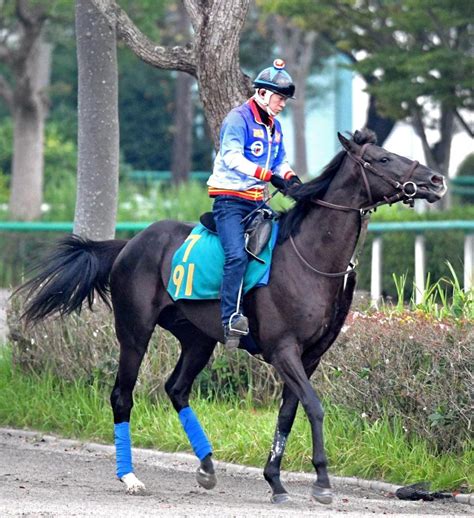 【pog】グローリーヴェイズ小柄でもバランス良し いかにもディープ産駒競馬・レースデイリースポーツ Online