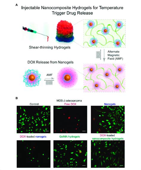 A Schematic Depiction Of Nanocomposite Hydrogels Fabrication That Can