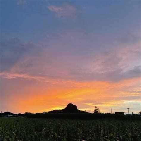 〈女性おひとりさまの地方移住〉島の人の温かさに癒やされ健康に。マルチワークで島と島外をつなぐ【沖縄県伊江村】｜趣味・生活｜田舎暮らしの本 Web【宝島社公式】