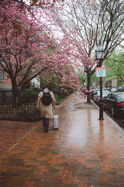 maybeliveever boston seni çok özledim